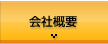 �Z���`�����[21���[�t�A�b�v�̉�ЊT�v